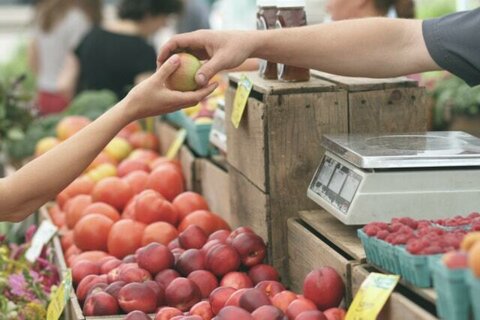 BIO = Produits locaux ? FAUX, ce n'est pas toujours le cas et on vous explique pourquoi !