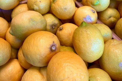 Le citron, un allié naturel pour un foyer étincelant