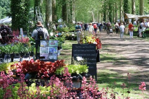 Al'binète sera présent au festival des plantes de château d'Hex ces 3, 4 & 5 juin !