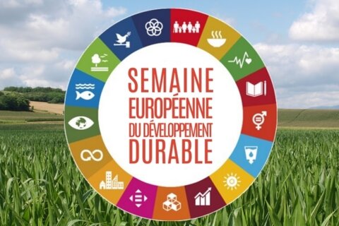 Célébrons la Semaine du Développement Durable !