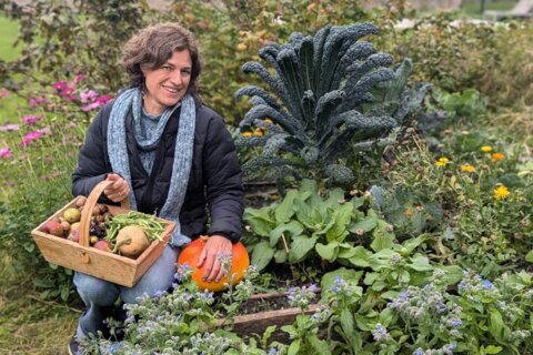 La nutrition en automne