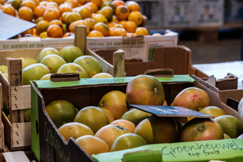 Manger bio sans se ruiner, c'est possible et en plus, c'est bon pour la santé !